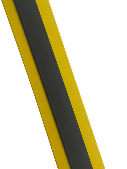 2" BLING Collar - 2024 GSPCA BioThane Collar