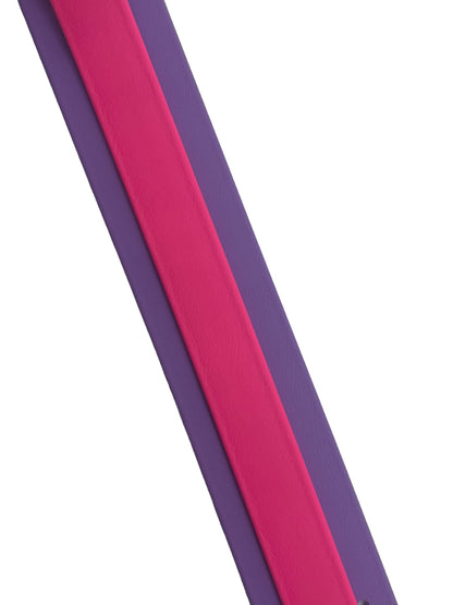 1/2" Two Tone Collar - 2024 GSPCA NSS BioThane Collar