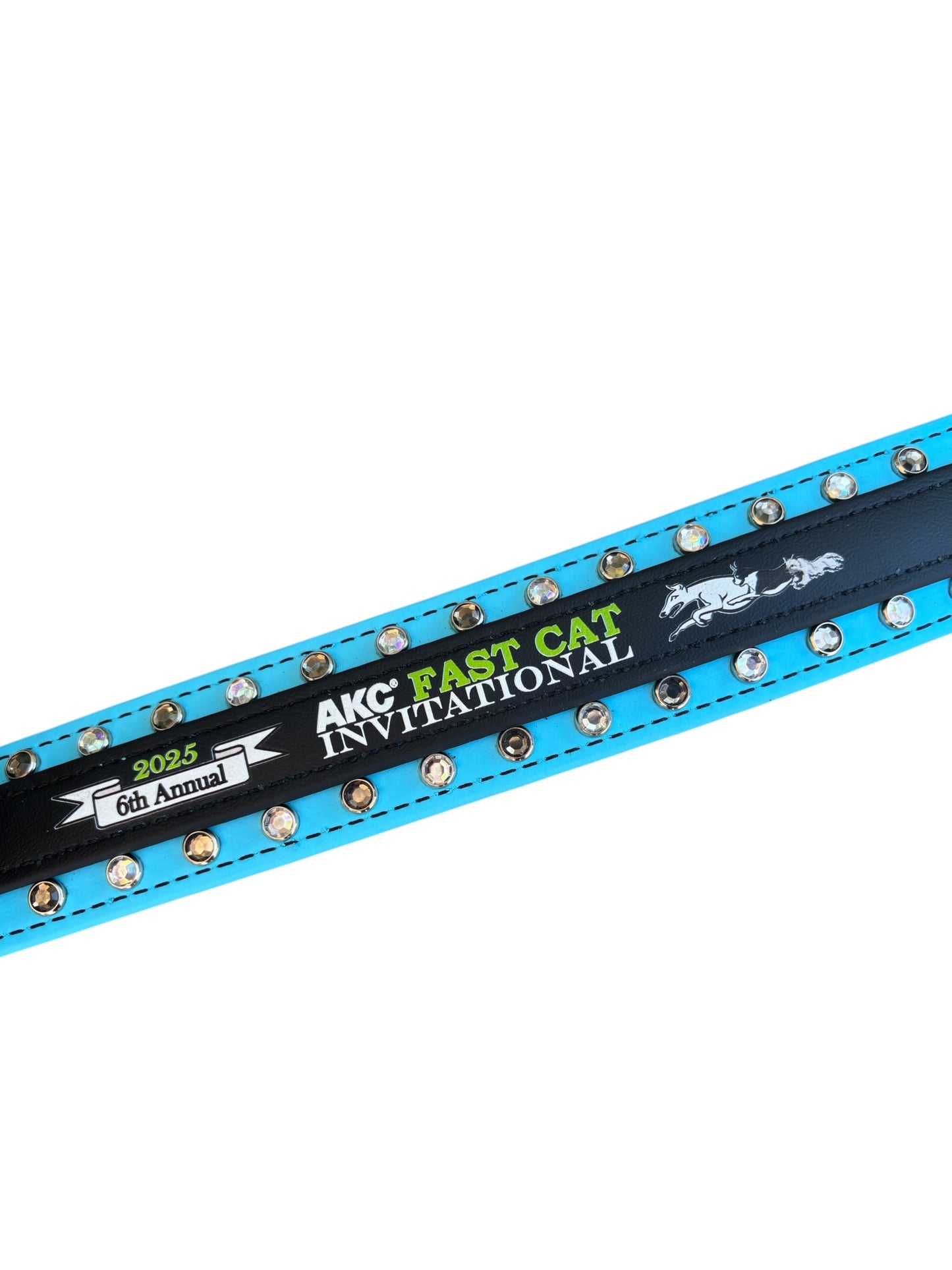 E. Two Toned Collar - 2025 AKC FastCAT Invitationals BioThane Collar