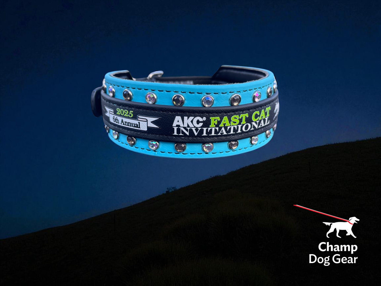E. Two Toned Collar - 2025 AKC FastCAT Invitationals BioThane Collar