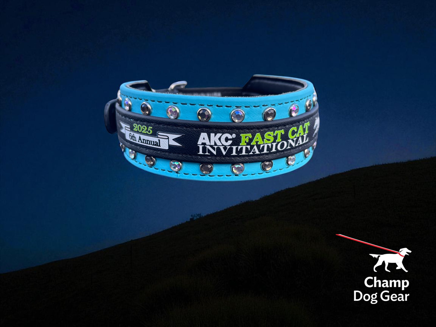 E. Two Toned Collar - 2025 AKC FastCAT Invitationals BioThane Collar