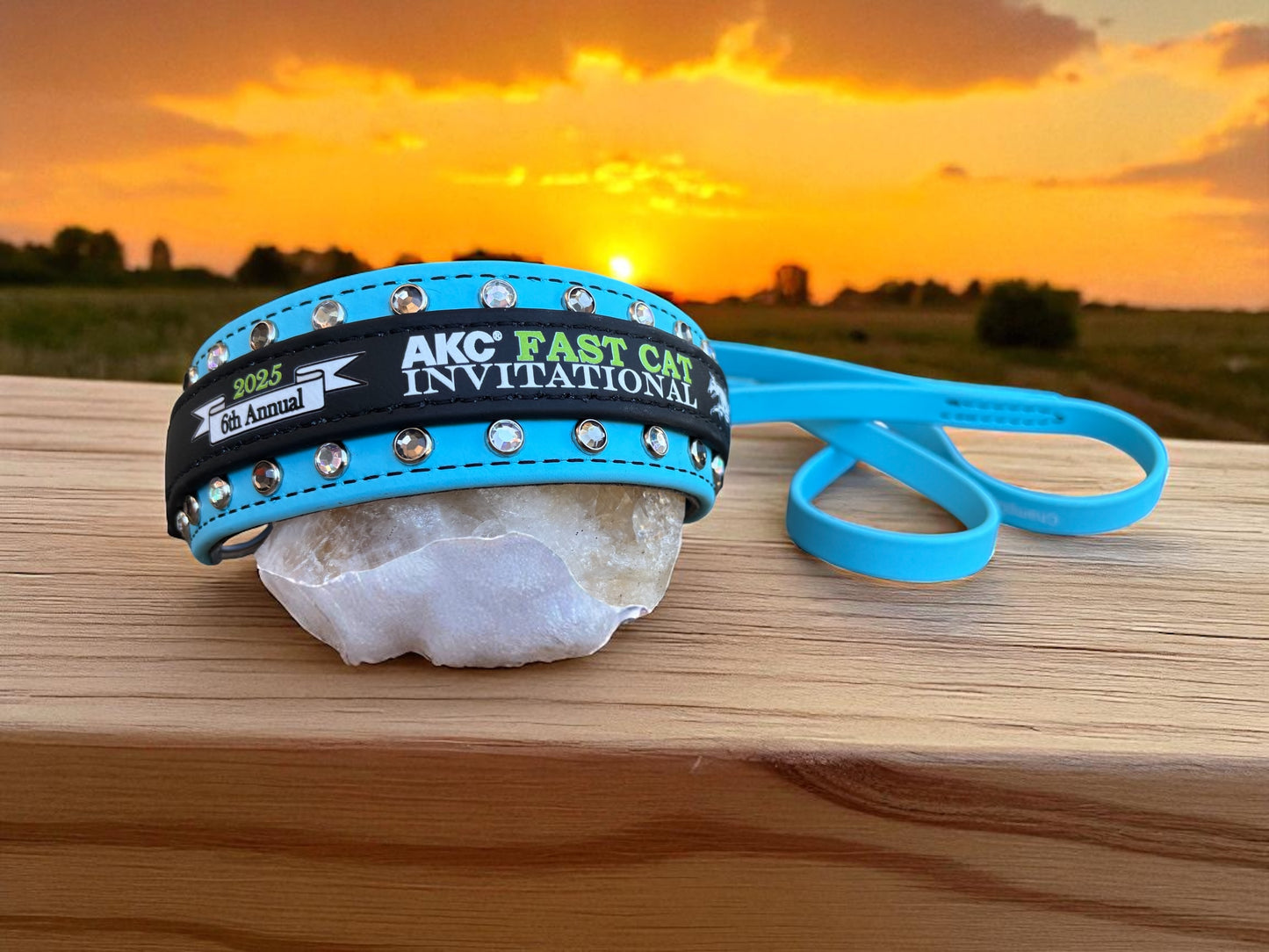 E. MARTINGALE LEASH - 2025 AKC FastCAT Invitational BioThane Martingale Leash