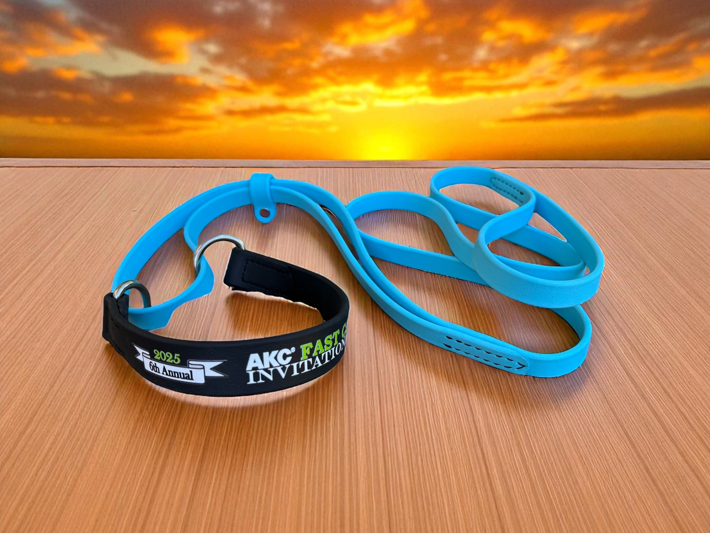 E. MARTINGALE LEASH - 2025 AKC FastCAT Invitational BioThane Martingale Leash