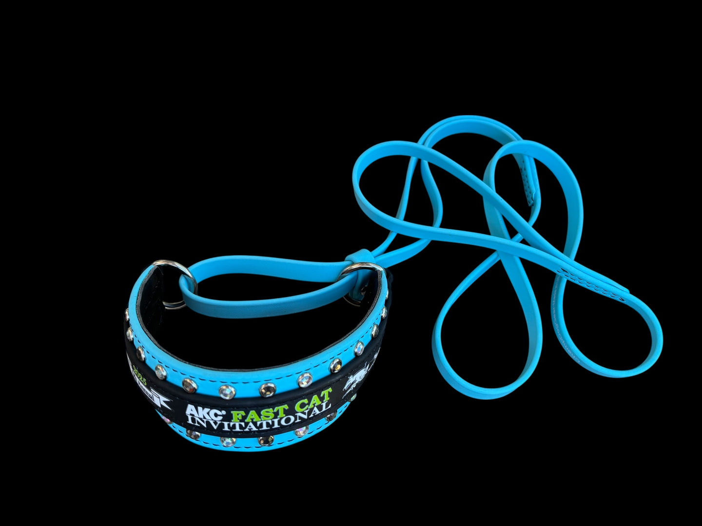 E. MARTINGALE LEASH - 2025 AKC FastCAT Invitational BioThane Martingale Leash