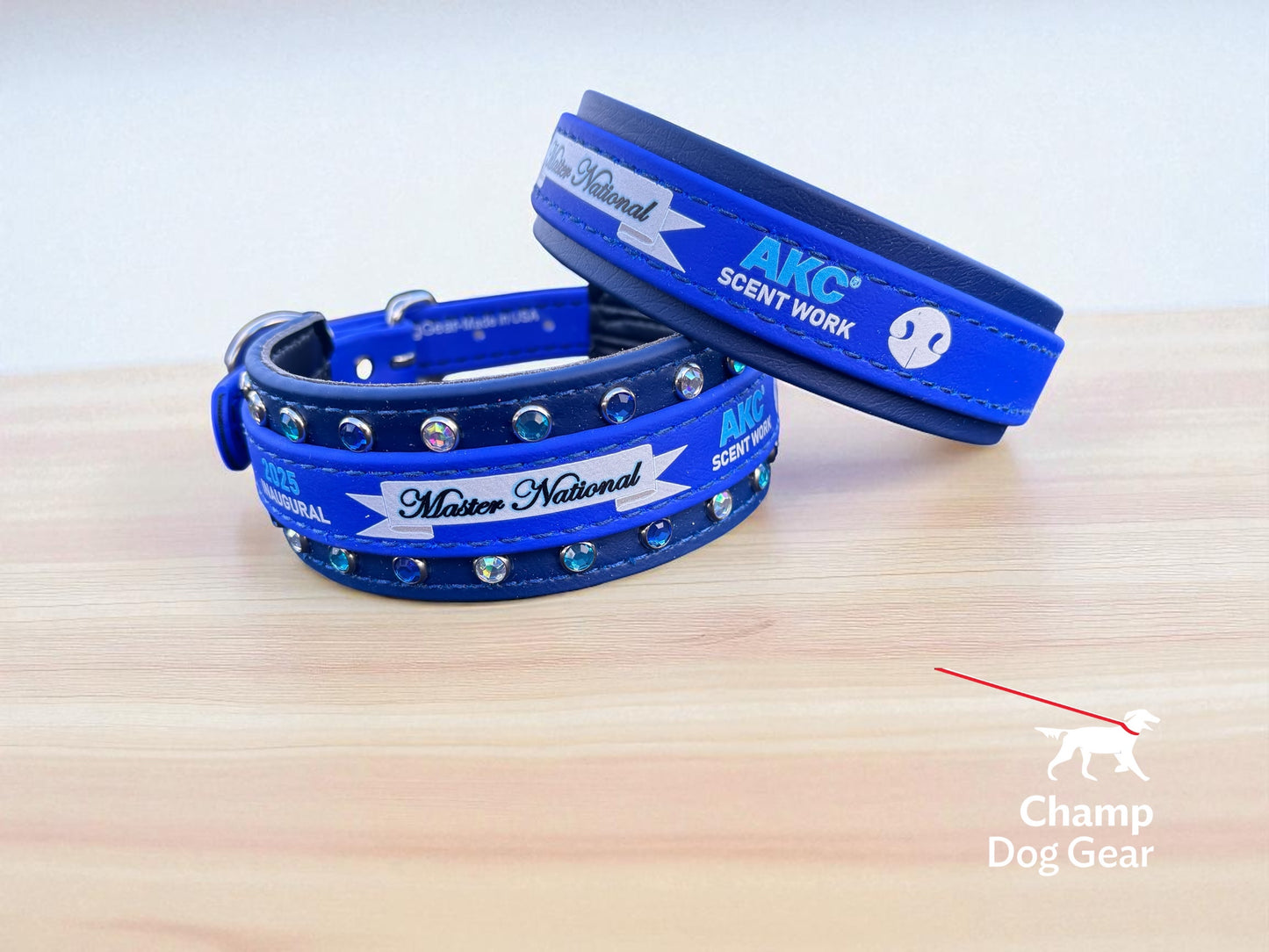 F. Two Toned Collar - 2025 AKC Scent Work Master National