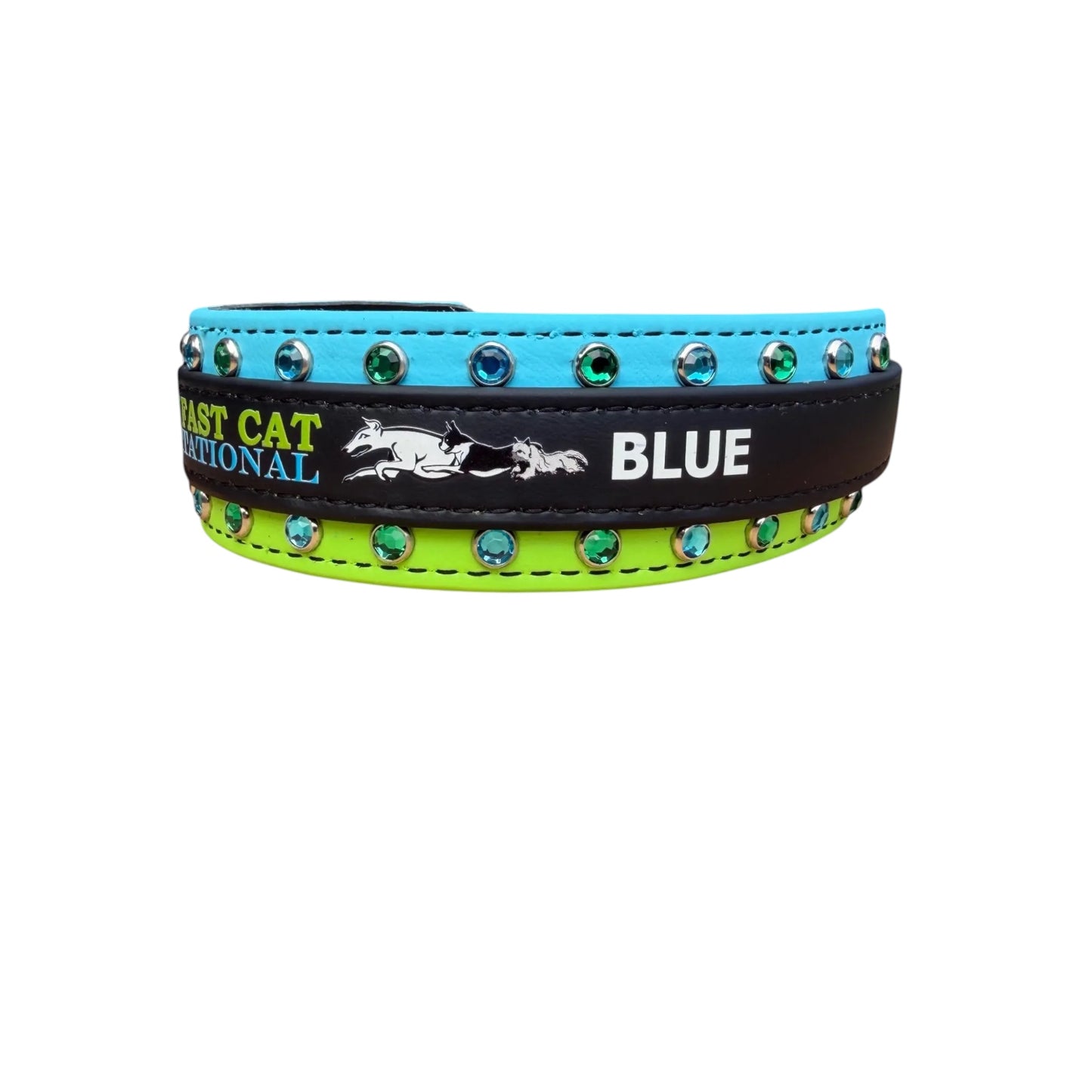 E. Two Toned Collar - 2026 AKC FastCAT Invitationals BioThane Collar