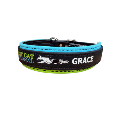 E. Two Toned Collar - 2026 AKC FastCAT Invitationals BioThane Collar
