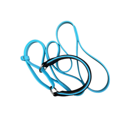 E. MARTINGALE LEASH - 2026 AKC FastCAT Invitational BioThane Martingale Leash