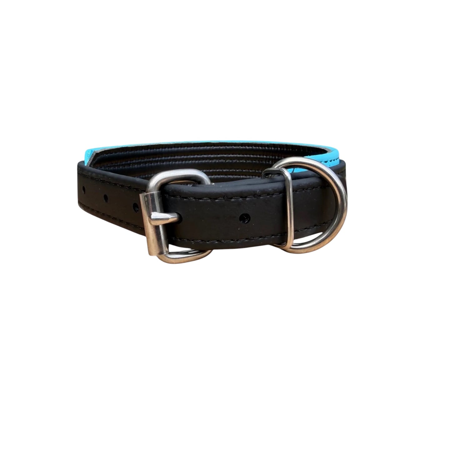 E. Two Toned Collar - 2026 AKC FastCAT Invitationals BioThane Collar