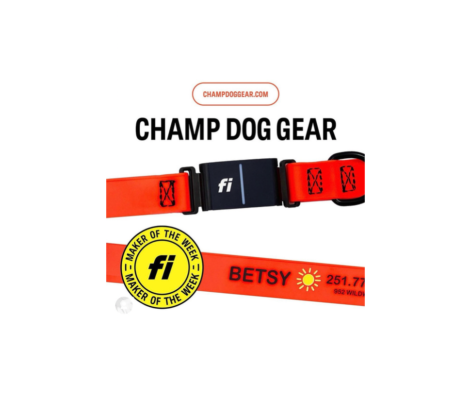Fi Series 3 Compatible Snap Collar - Personalized