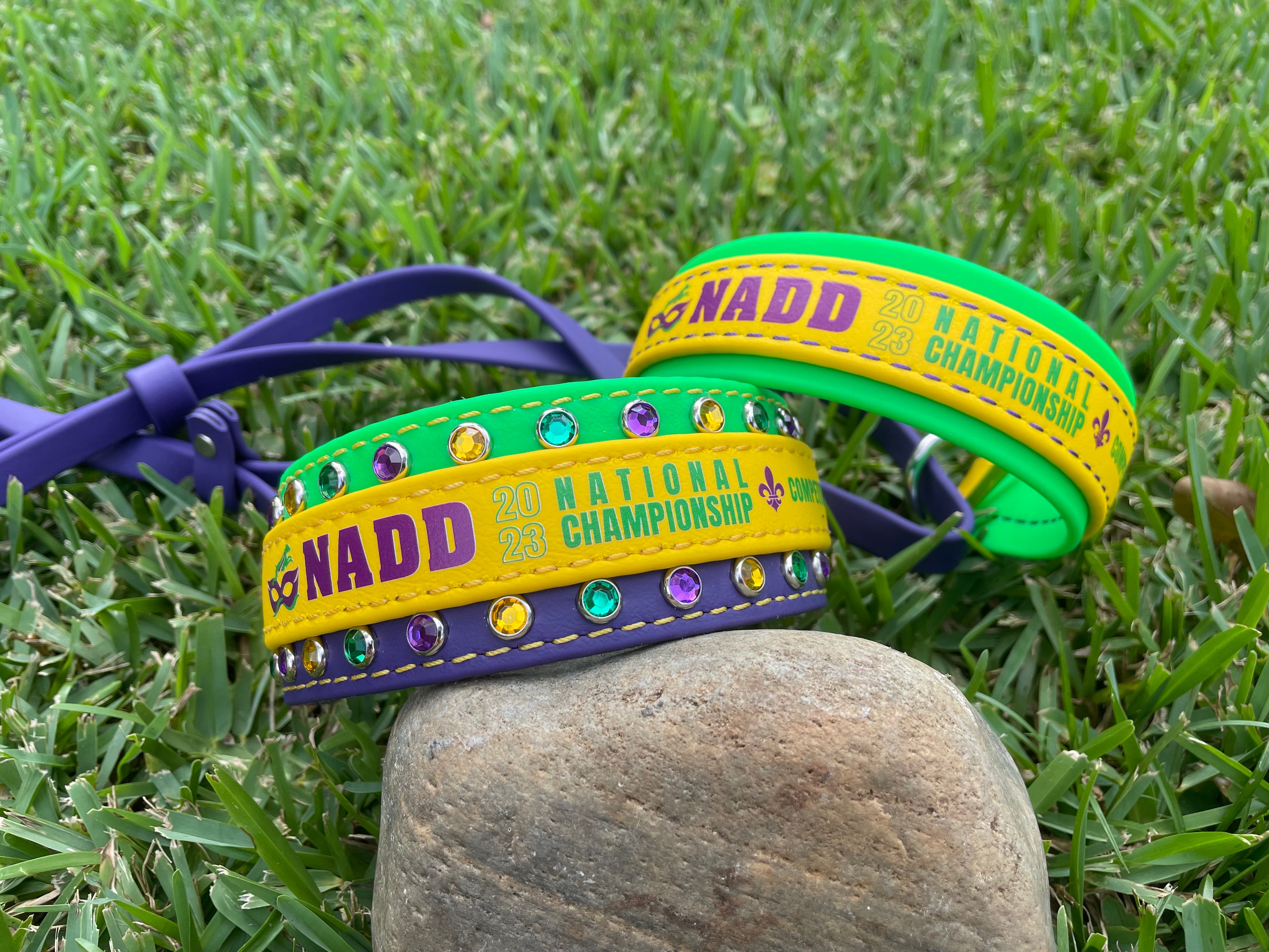 MARTINGALE LEASH 2023 NADD Nationals 2 toned Martingale Lead BioTh