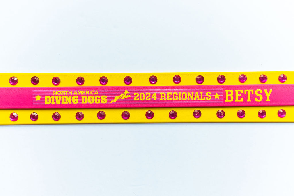 2" MARTINGALE LEASH - 2024 NADD Regionals BioThane Martingale Leash