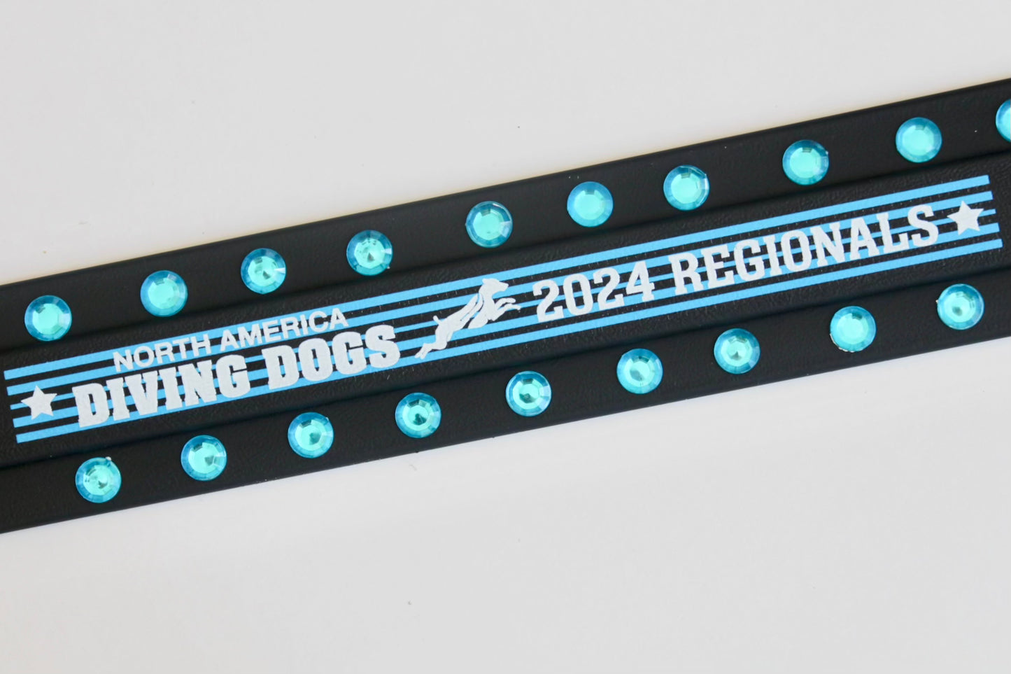 2" BLING Collar - 2024 NADD Regionals BioThane Collar