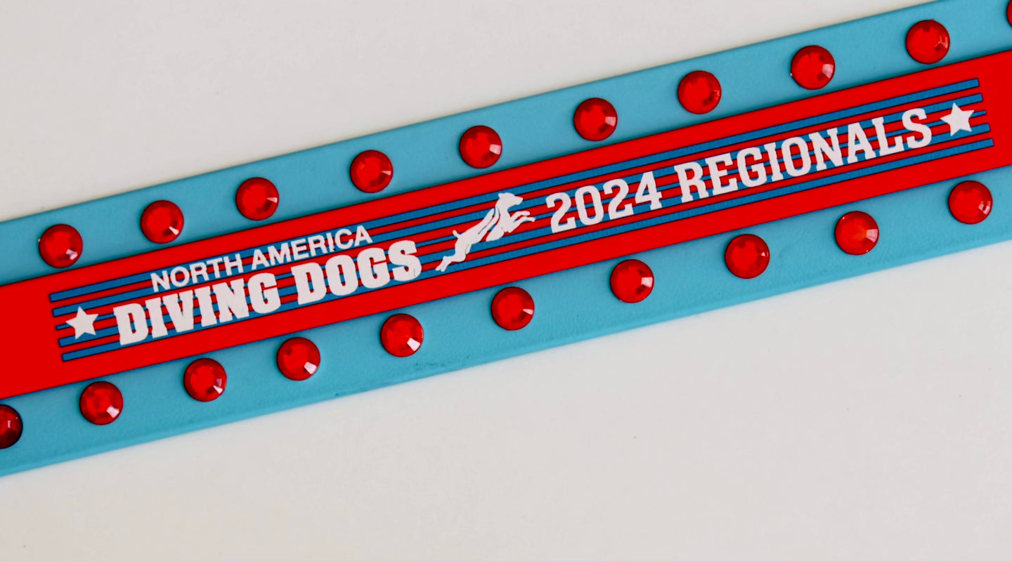 2" BLING Collar - 2024 NADD Regionals BioThane Collar