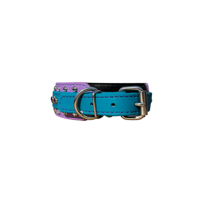 (no) IN STOCK - Mega Turquoise / Orchid 5
