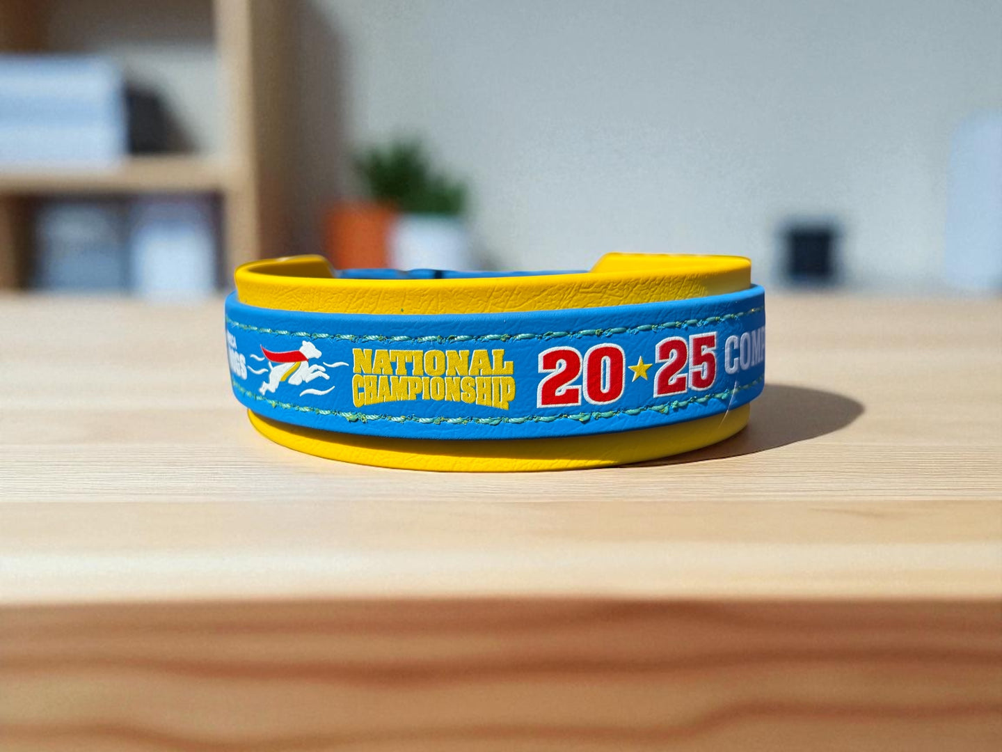 G. Two Toned Collar - 2025 NADD Nationals Collar