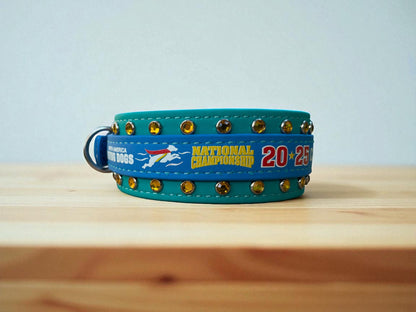 CLEARANCE: G. Two Toned Collar - 2025 NADD Nationals Collar