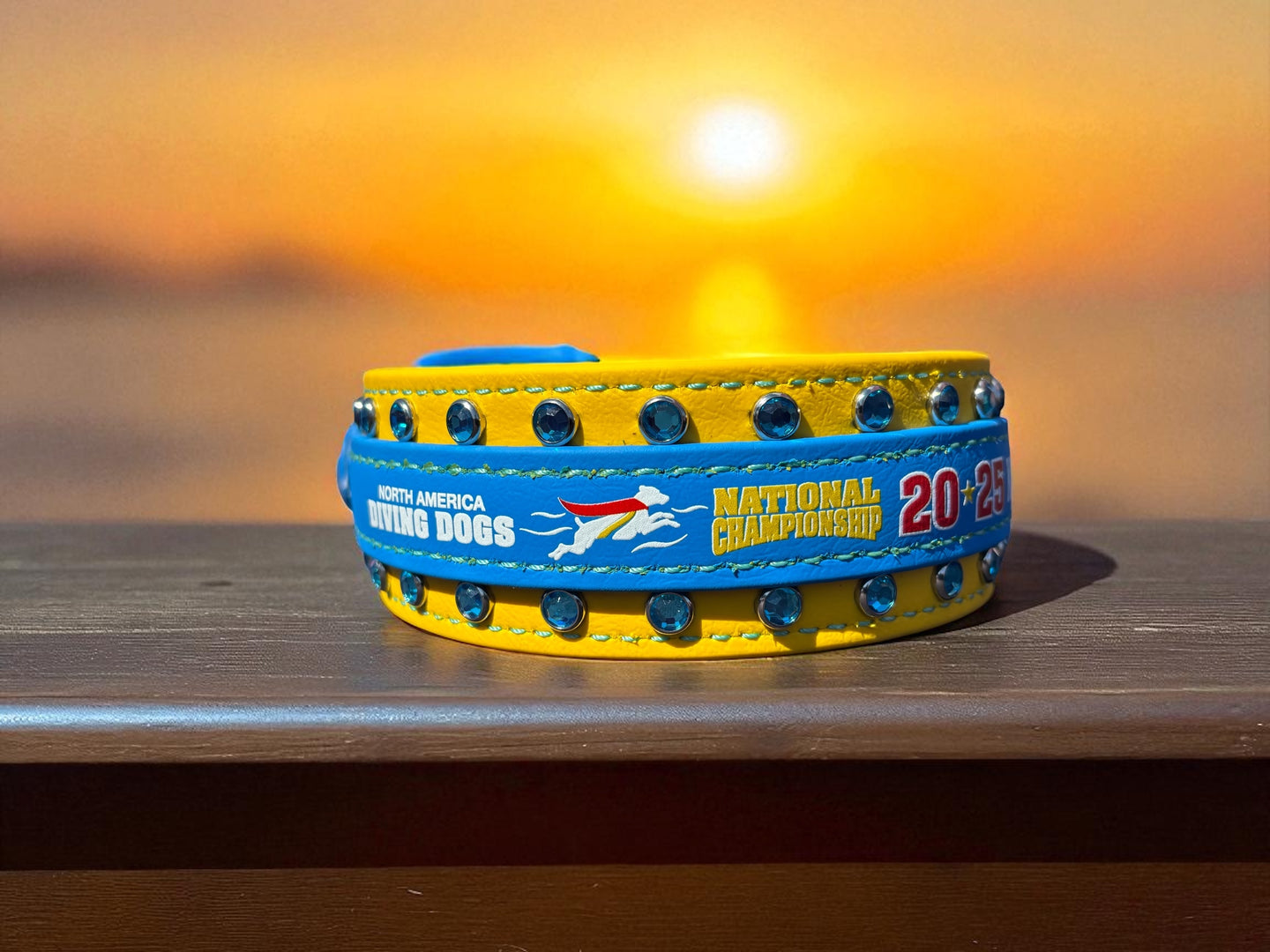 G. Two Toned Collar - 2025 NADD Nationals Collar
