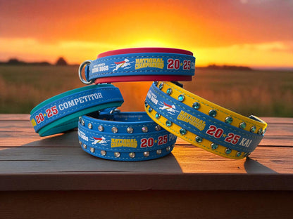 CLEARANCE: G. Two Toned Collar - 2025 NADD Nationals Collar