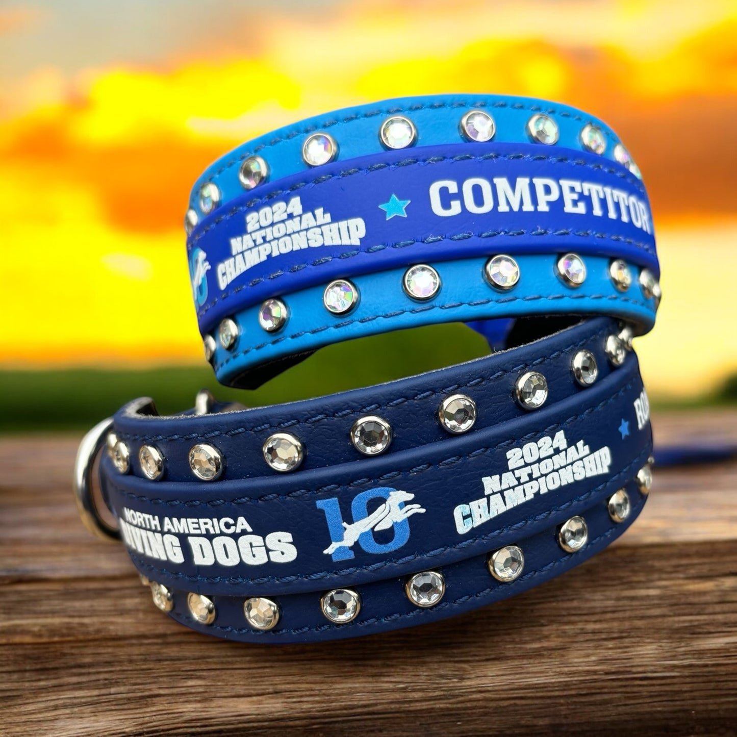 BLING Competitor Collar - 2024 NADD Nationals BioThane Collar