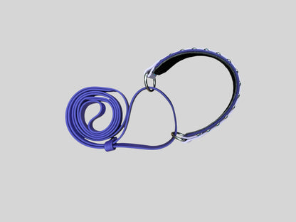 CLEARANCE MARTINGALE LEASH - 2024 NADD Nationals BioThane Martingale Leash