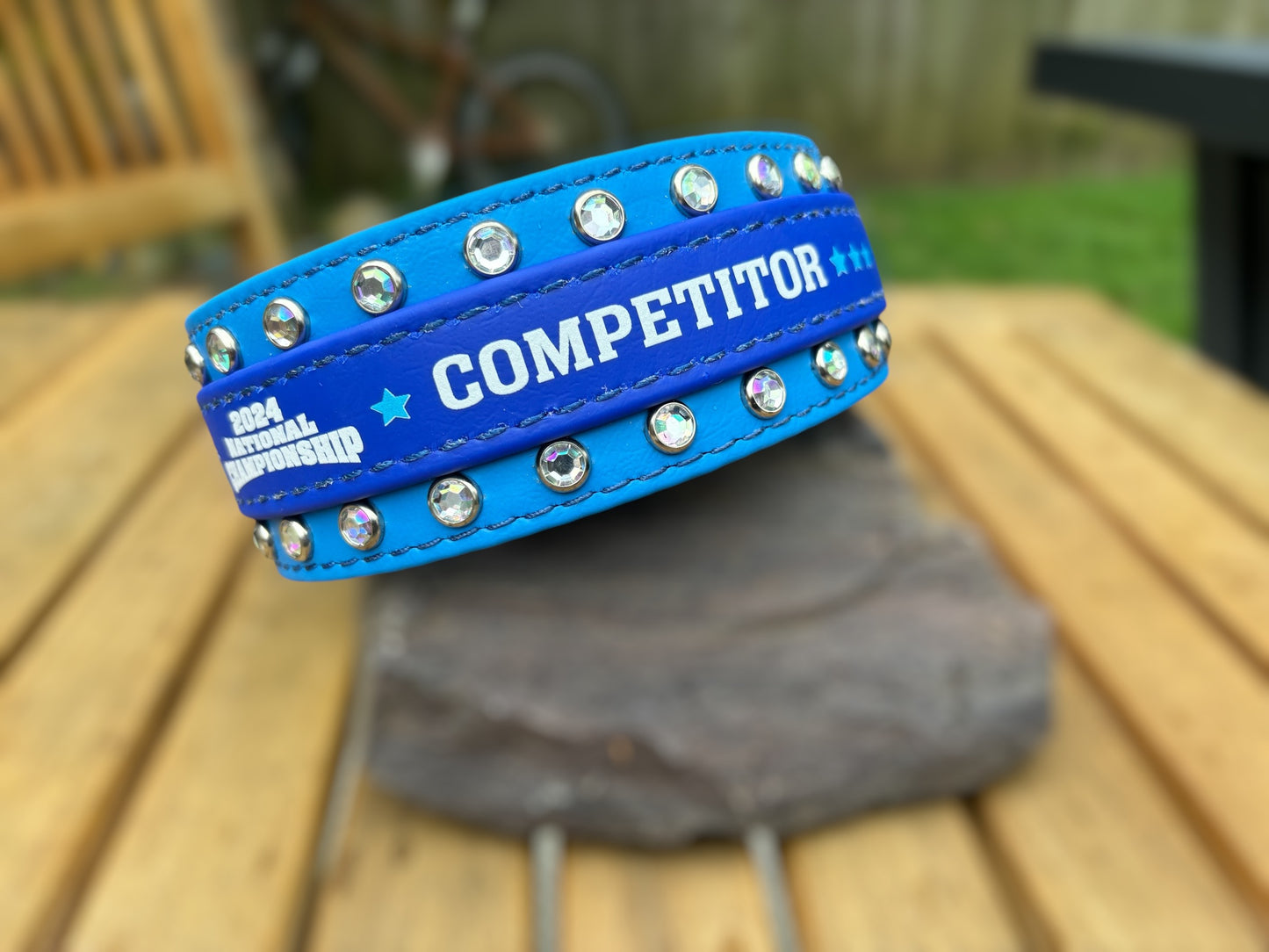 BLING Competitor Collar - 2024 NADD Nationals BioThane Collar