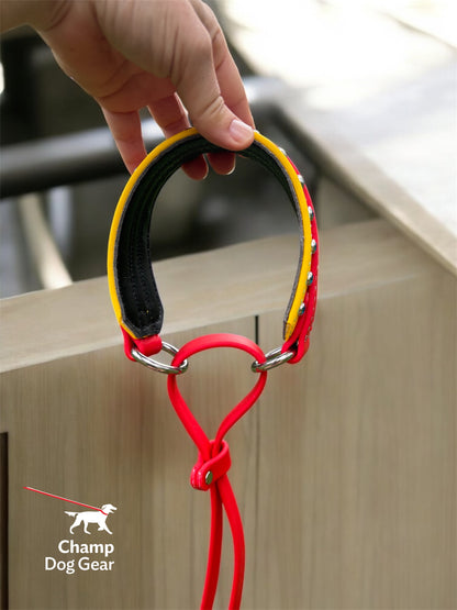 B. 1 1/2" MARTINGALE LEASH - 2025 OKC