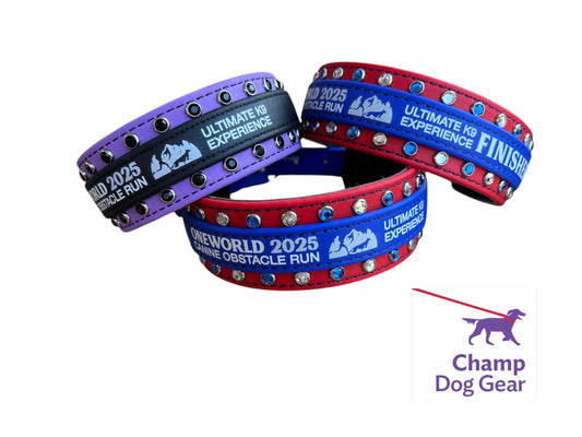 A. 2" TAGLINE Collar - OneWorld 2025 BioThane® Collar