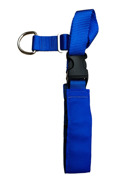 A Secret Powers Training Collar with Quick Release Snap - Solid Blue