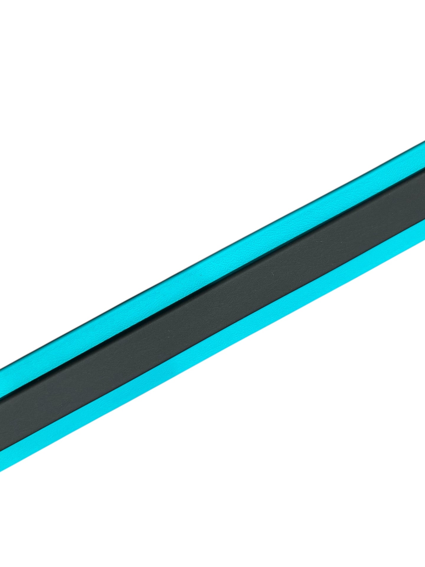 D. 2" MARTINGALE LEASH - 2025  NADD Regionals