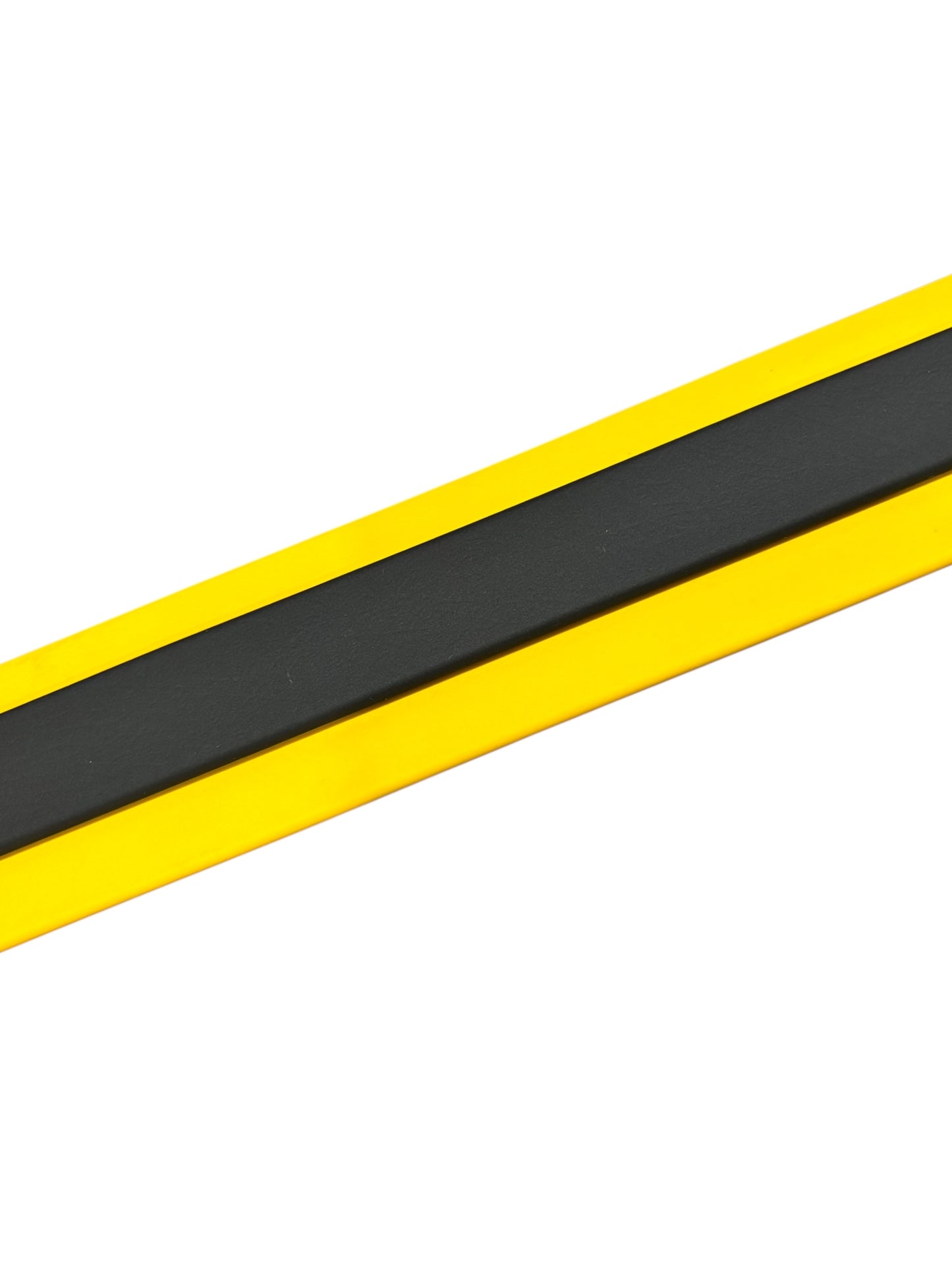 D. 2" MARTINGALE LEASH - 2025  NADD Regionals