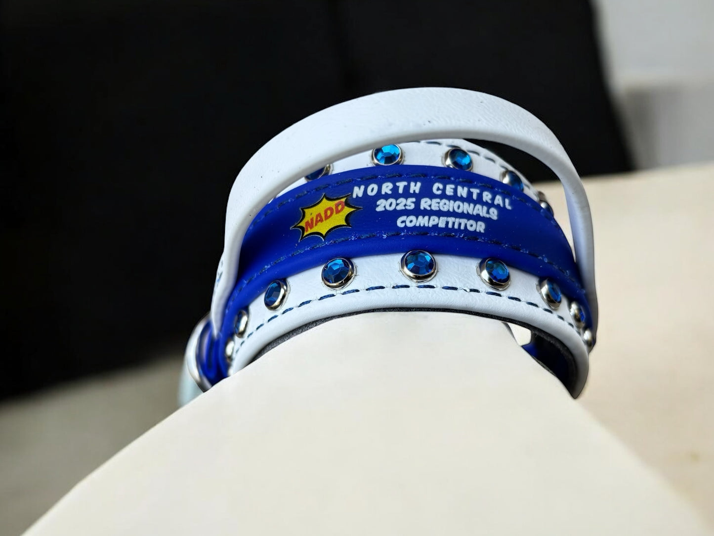 D. 2" NADD Regional Handle Collar - 2025 NADD Regional Collar
