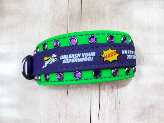 D. 2" NADD Regional Collar - 2025 NADD Regional Collar