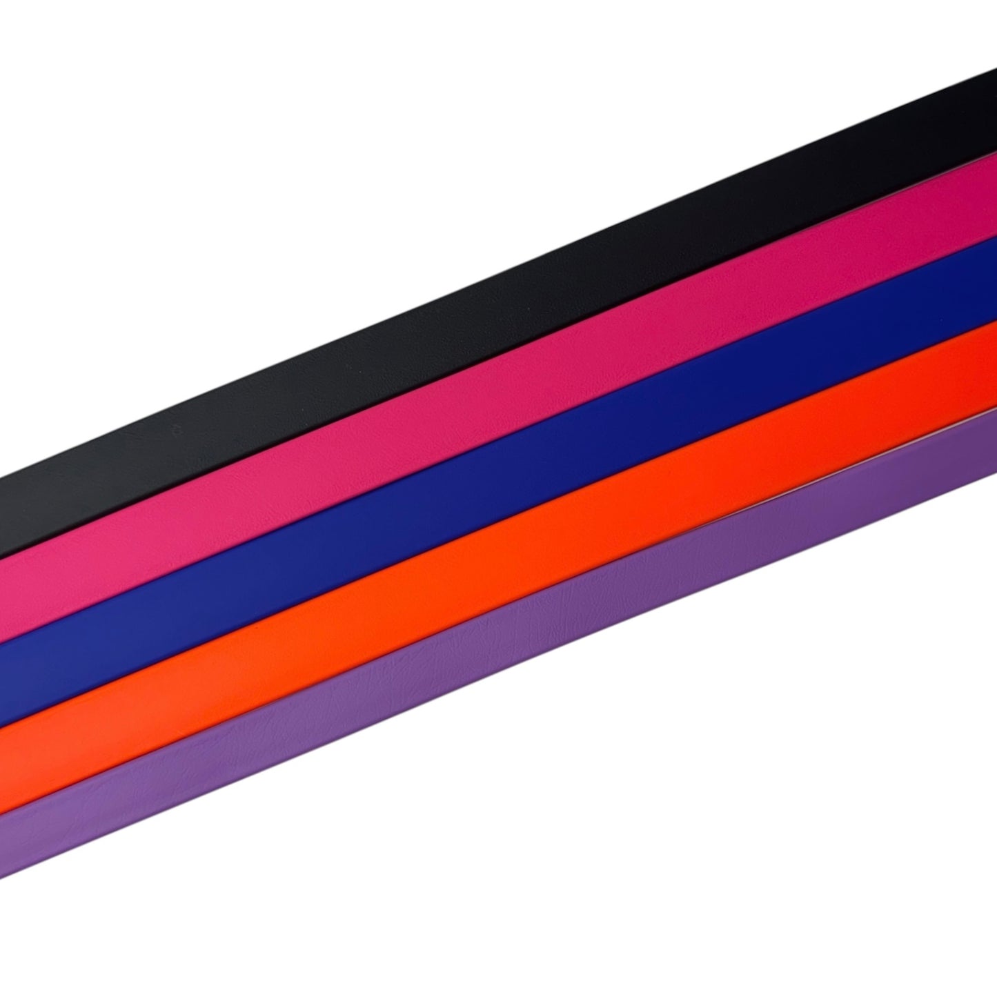 D. BioThane® Fi Series 3/3+ Compatible Collar - 2026 NADD Regionals