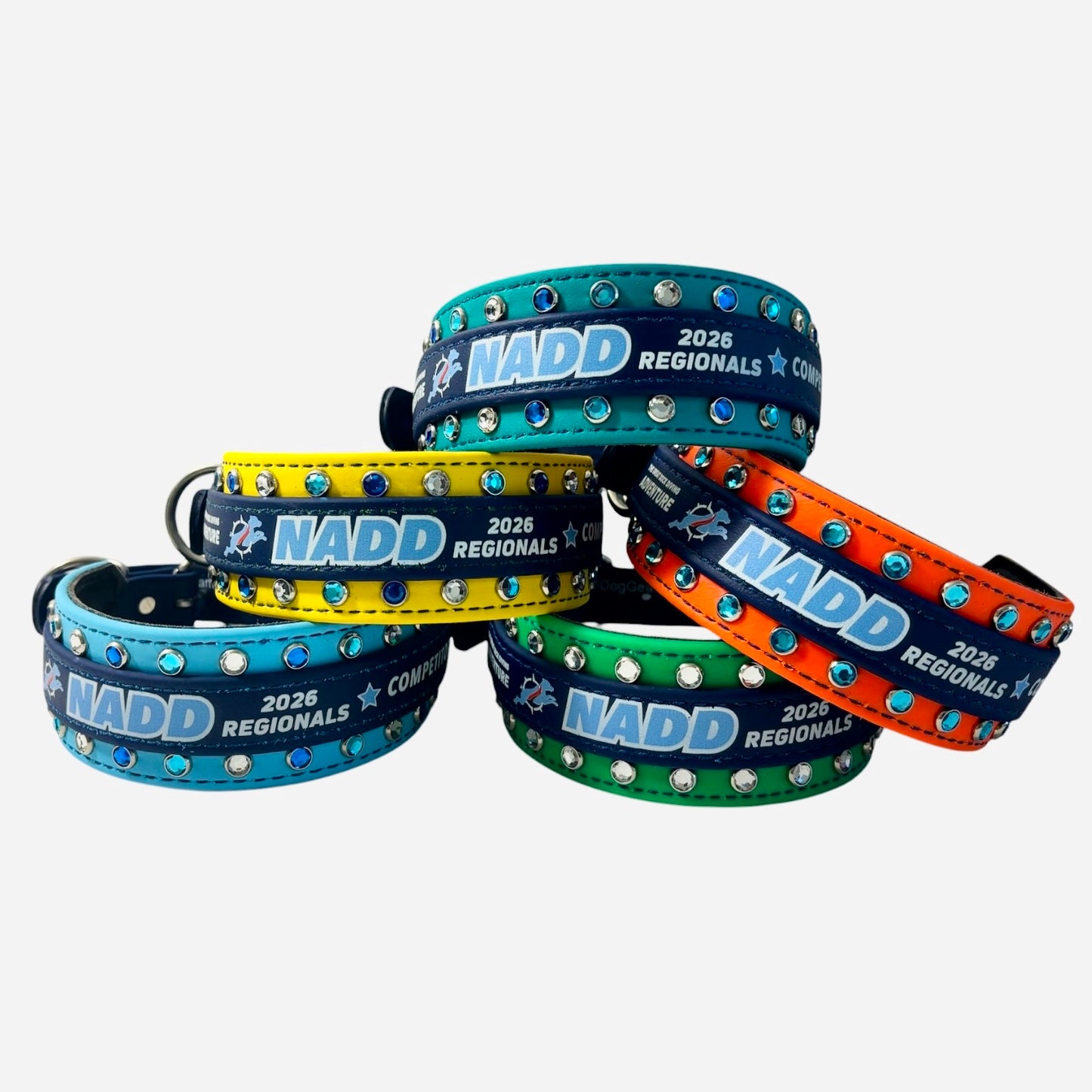 D. 2" NADD Regional Collar - 2026 NADD Regional Collar