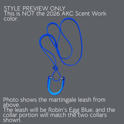 F. MARTINGALE LEASH - 2026 AKC Scent Work Master National