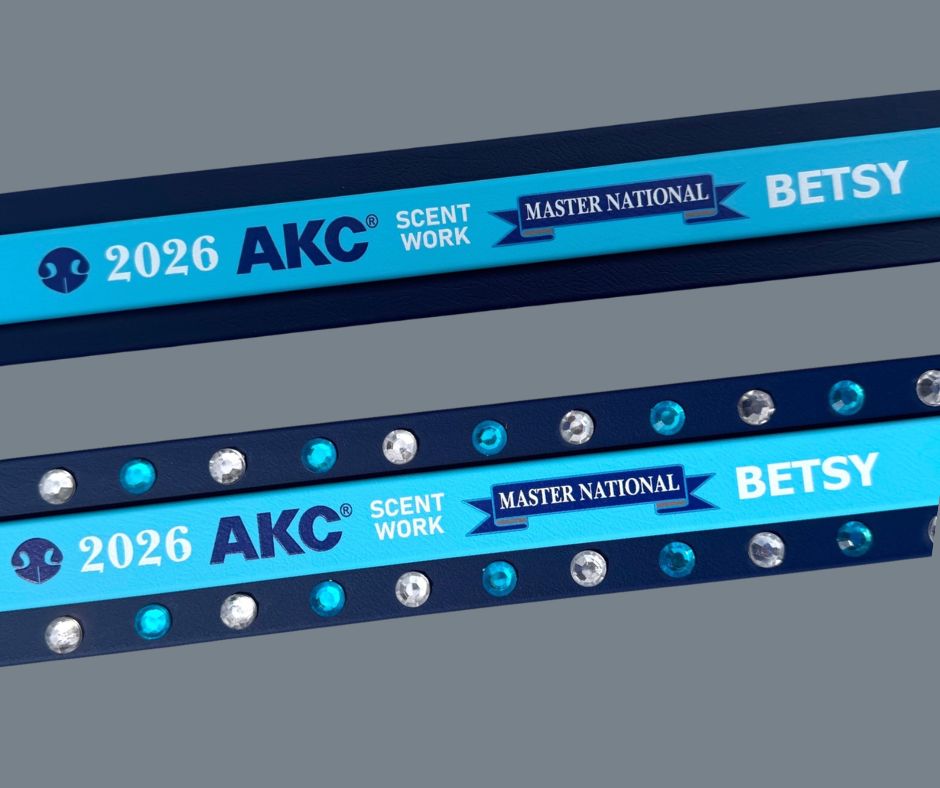 F. Two Toned Collar - 2026 AKC Scent Work Master National