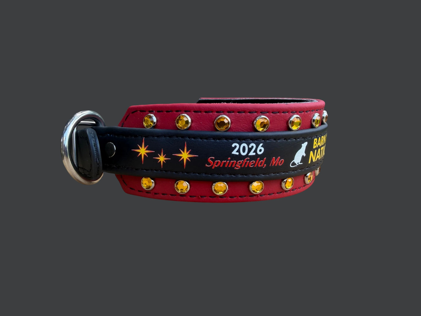 H. Two Toned Collar - 2026 BHA National Collar