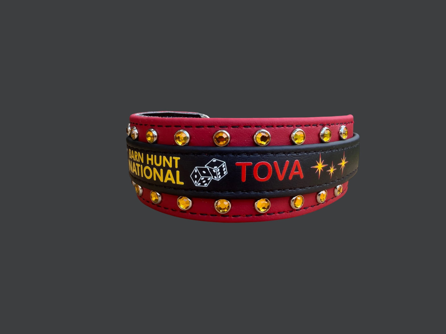 H. Two Toned Collar - 2026 BHA National Collar