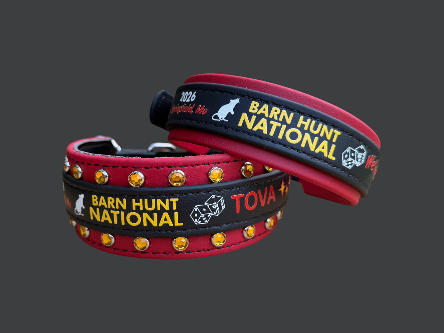H. Two Toned Collar - 2026 BHA National Collar