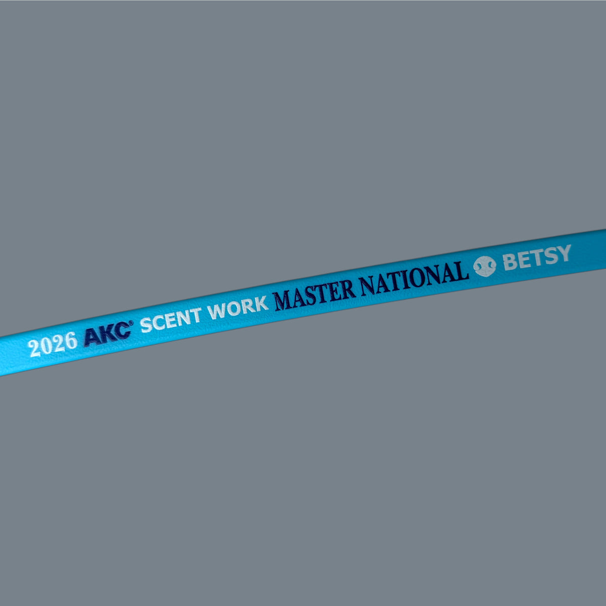 F. SLIP LEAD 6' - 2026 AKC Scent Work Master National