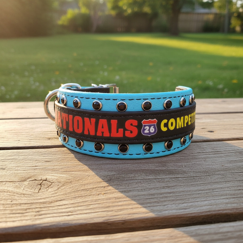 G. 2" Two Toned Collar - 2026 NADD Nationals Collar