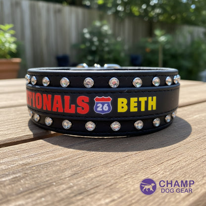 G. 2" Two Toned Collar - 2026 NADD Nationals Collar