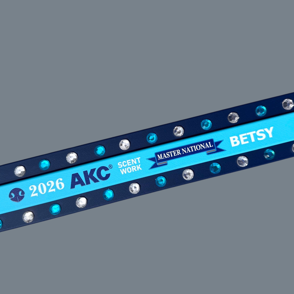 F. Two Toned Collar - 2026 AKC Scent Work Master National
