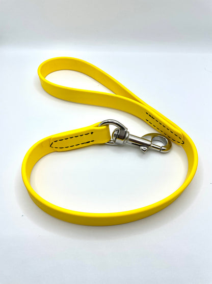 BioThane 2' Snap Lead