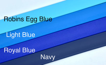 BioThane 2' Snap Lead