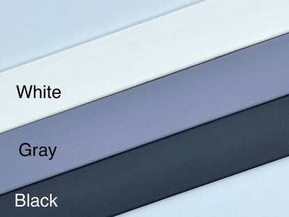 BioThane 2' Snap Lead