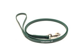 BioThane 4' Snap Lead