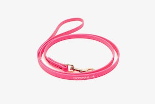 BioThane 4' Snap Lead