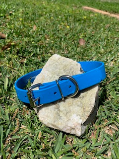 1” Classic Biothane® Buckle Dog Collar - Blank or Personalized